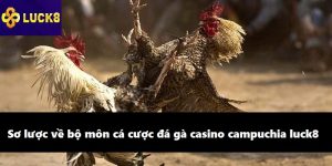 Sơ lược về bộ môn cá cược đá gà casino campuchia luck8